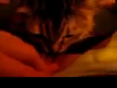 On a sofa, a cute cat is giving birth to its seductive femdom-goddess.